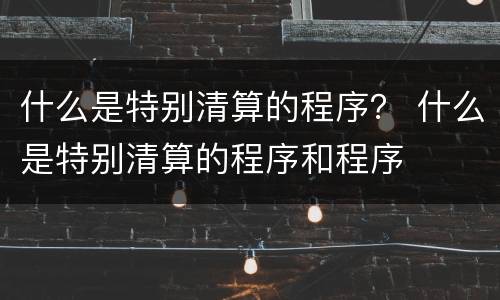 什么是特别清算的程序？ 什么是特别清算的程序和程序