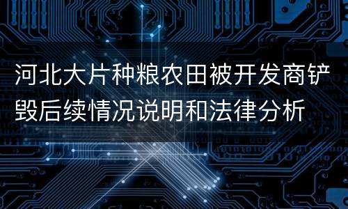 河北大片种粮农田被开发商铲毁后续情况说明和法律分析