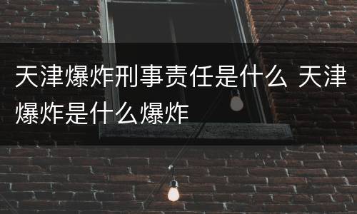 天津爆炸刑事责任是什么 天津爆炸是什么爆炸