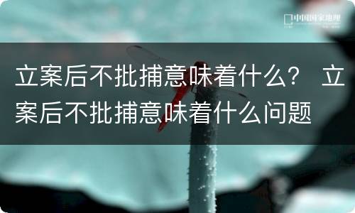 立案后不批捕意味着什么？ 立案后不批捕意味着什么问题