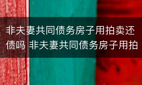 非夫妻共同债务房子用拍卖还债吗 非夫妻共同债务房子用拍卖还债吗