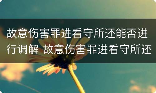 故意伤害罪进看守所还能否进行调解 故意伤害罪进看守所还能否进行调解呢