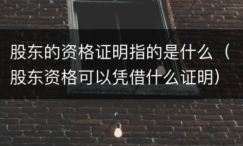 股东的资格证明指的是什么（股东资格可以凭借什么证明）