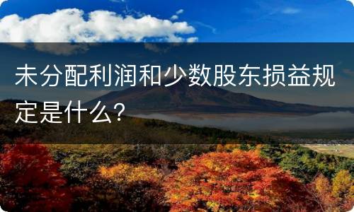 未分配利润和少数股东损益规定是什么？