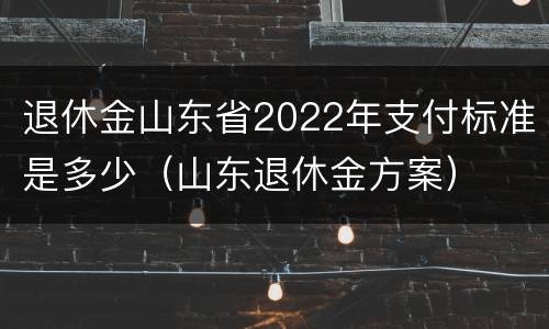 退休金山东省2022年支付标准是多少（山东退休金方案）