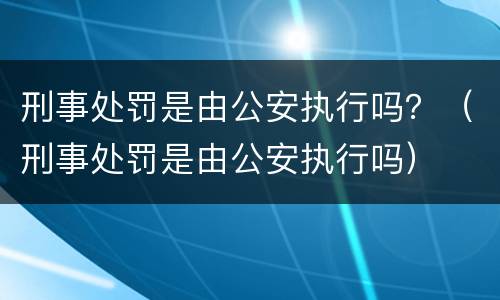 刑事处罚是由公安执行吗？（刑事处罚是由公安执行吗）