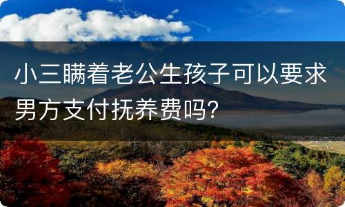 小三瞒着老公生孩子可以要求男方支付抚养费吗？