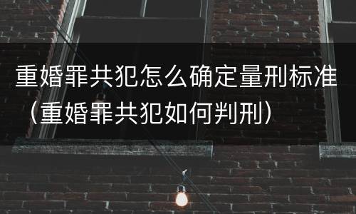 重婚罪共犯怎么确定量刑标准（重婚罪共犯如何判刑）