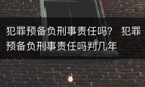 犯罪预备负刑事责任吗？ 犯罪预备负刑事责任吗判几年