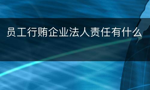 员工行贿企业法人责任有什么