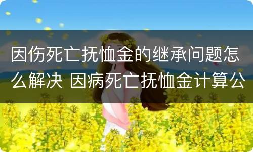 因伤死亡抚恤金的继承问题怎么解决 因病死亡抚恤金计算公式