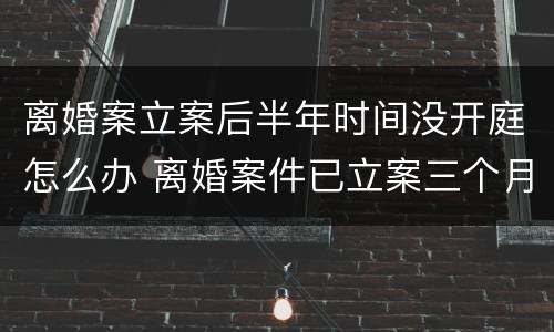 离婚案立案后半年时间没开庭怎么办 离婚案件已立案三个月了,还没开庭如何处理