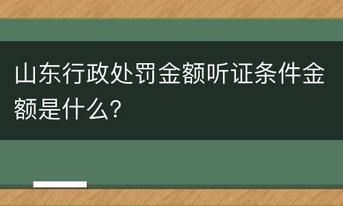 山东行政处罚金额听证条件金额是什么？