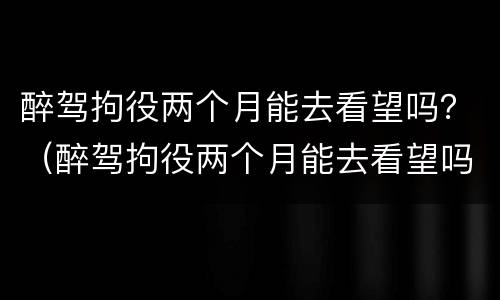 醉驾拘役两个月能去看望吗？（醉驾拘役两个月能去看望吗现在）