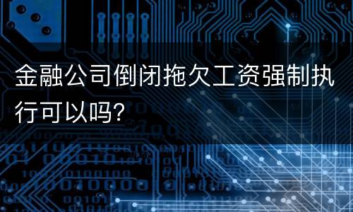 金融公司倒闭拖欠工资强制执行可以吗？