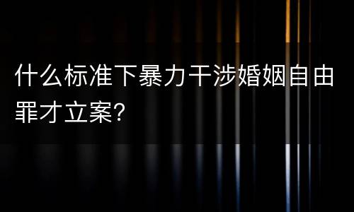 什么标准下暴力干涉婚姻自由罪才立案？