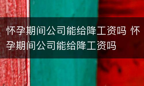 怀孕期间公司能给降工资吗 怀孕期间公司能给降工资吗