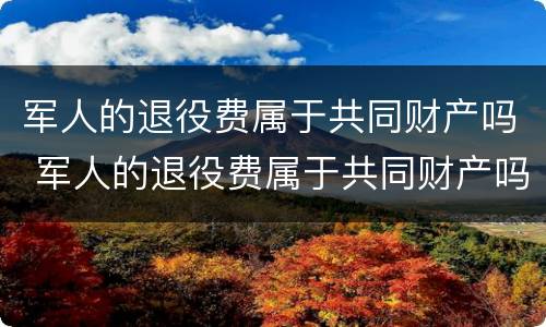 军人的退役费属于共同财产吗 军人的退役费属于共同财产吗怎么算