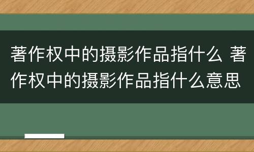 著作权中的摄影作品指什么 著作权中的摄影作品指什么意思