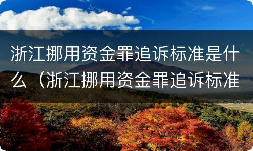 浙江挪用资金罪追诉标准是什么（浙江挪用资金罪追诉标准是什么规定）