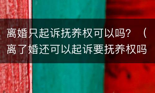 离婚只起诉抚养权可以吗？（离了婚还可以起诉要抚养权吗）