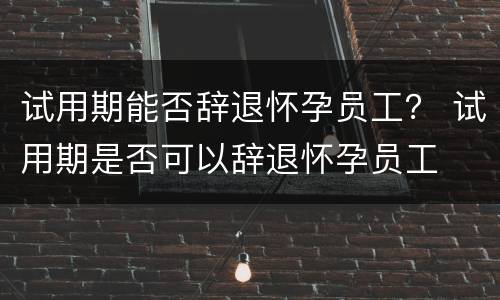 试用期能否辞退怀孕员工？ 试用期是否可以辞退怀孕员工