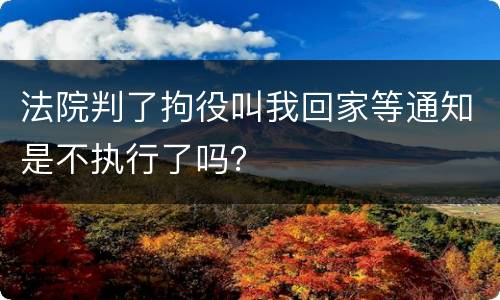 法院判了拘役叫我回家等通知是不执行了吗？