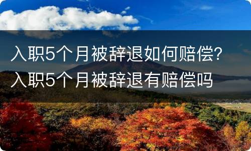 入职5个月被辞退如何赔偿？ 入职5个月被辞退有赔偿吗