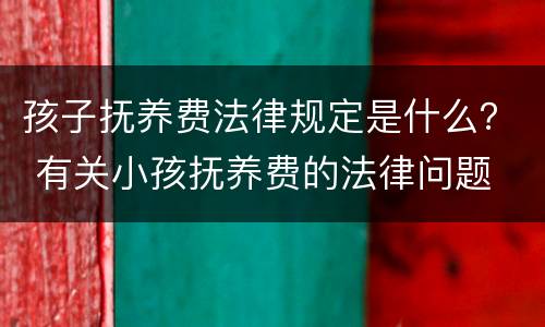 孩子抚养费法律规定是什么？ 有关小孩抚养费的法律问题