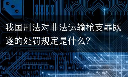 我国刑法对非法运输枪支罪既遂的处罚规定是什么？