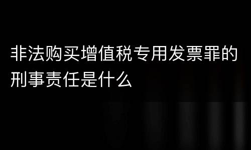 非法购买增值税专用发票罪的刑事责任是什么