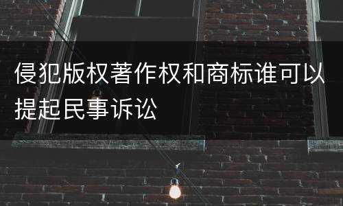 侵犯版权著作权和商标谁可以提起民事诉讼