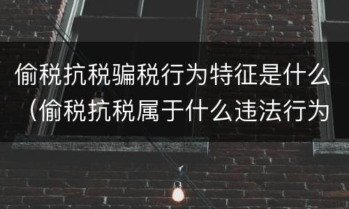 偷税抗税骗税行为特征是什么（偷税抗税属于什么违法行为）