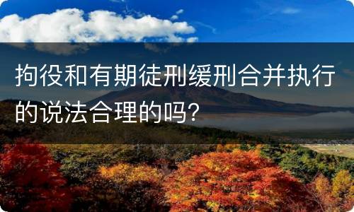 拘役和有期徒刑缓刑合并执行的说法合理的吗？