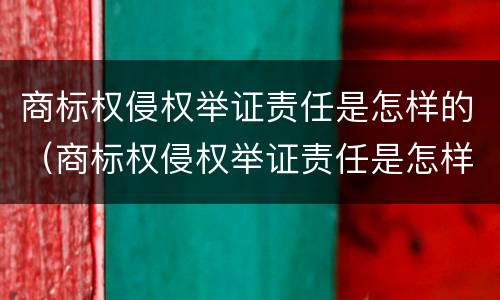 商标权侵权举证责任是怎样的（商标权侵权举证责任是怎样的）