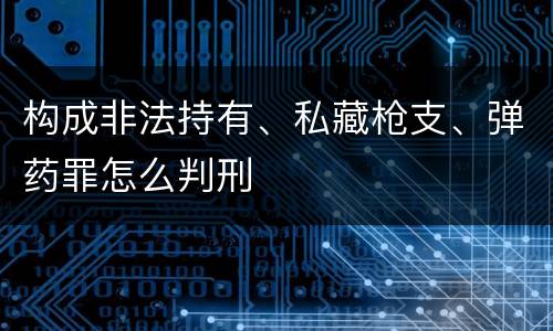 构成非法持有、私藏枪支、弹药罪怎么判刑