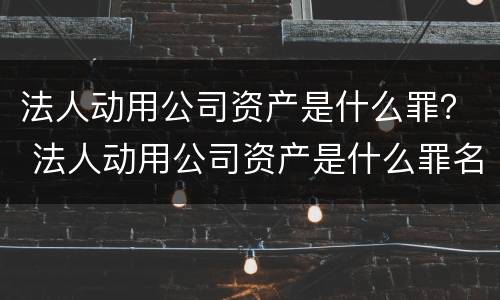 法人动用公司资产是什么罪？ 法人动用公司资产是什么罪名