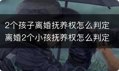 2个孩子离婚抚养权怎么判定 离婚2个小孩抚养权怎么判定