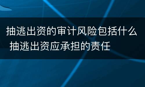 抽逃出资的审计风险包括什么 抽逃出资应承担的责任