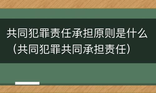 共同犯罪责任承担原则是什么（共同犯罪共同承担责任）