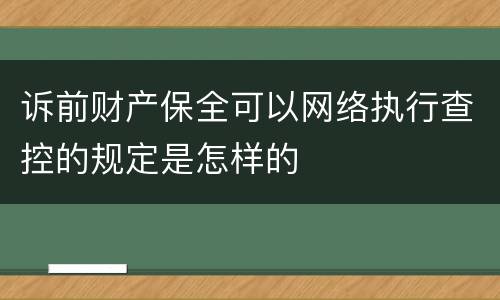 诉前财产保全可以网络执行查控的规定是怎样的