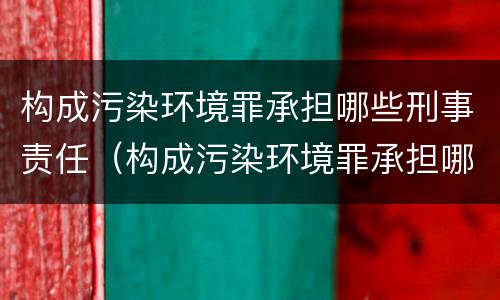 构成污染环境罪承担哪些刑事责任（构成污染环境罪承担哪些刑事责任和民事）