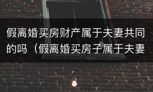 假离婚买房财产属于夫妻共同的吗（假离婚买房子属于夫妻共同财产吗）