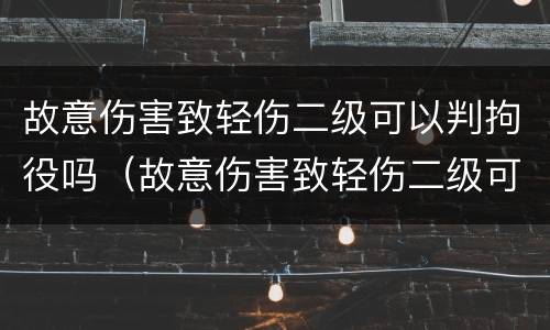 故意伤害致轻伤二级可以判拘役吗（故意伤害致轻伤二级可以判拘役吗知乎）