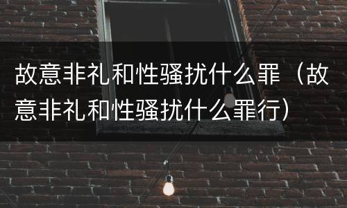 故意非礼和性骚扰什么罪（故意非礼和性骚扰什么罪行）