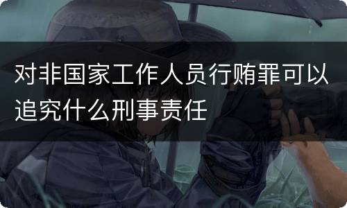 对非国家工作人员行贿罪可以追究什么刑事责任