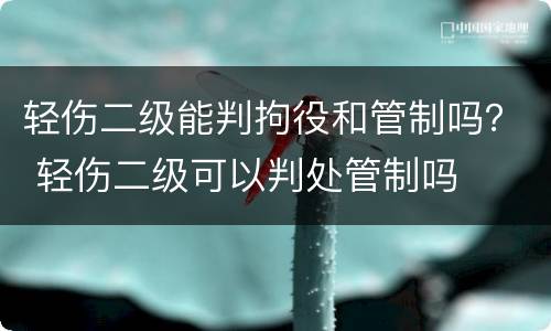 轻伤二级能判拘役和管制吗？ 轻伤二级可以判处管制吗