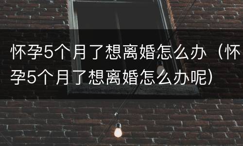 怀孕5个月了想离婚怎么办（怀孕5个月了想离婚怎么办呢）