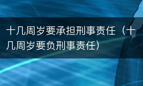 十几周岁要承担刑事责任（十几周岁要负刑事责任）