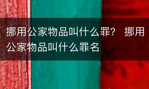 挪用公家物品叫什么罪？ 挪用公家物品叫什么罪名